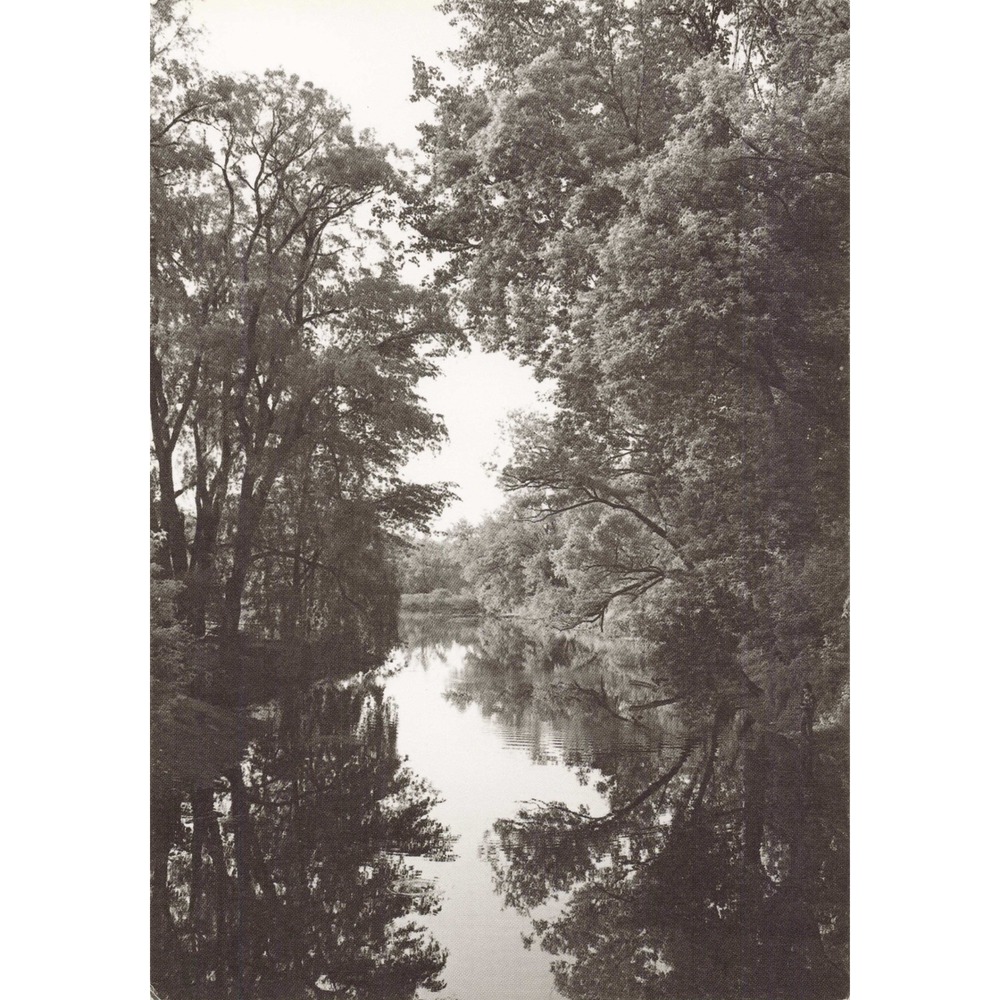 William H Tague 15 Postcard Set Berkshires Tanglewood Leonard Bernstein Nature - Picture 1 of 16